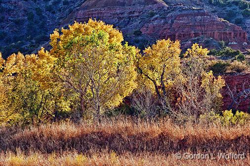 Palo Duro Canyon_72076.jpg - Photographed at Palo Duro Canyon State Park south of Amarillo, Texas, USA.